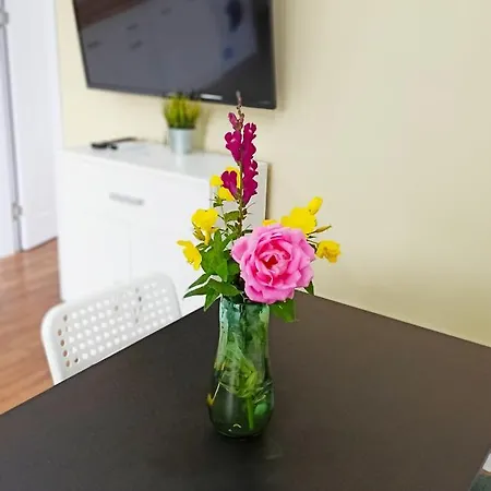 Garden 아파트 파나규리슈테